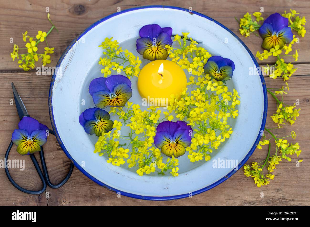 decoration with floating candle, viola flowers and yellow bedstraw in vintage enamel plate Stock Photo