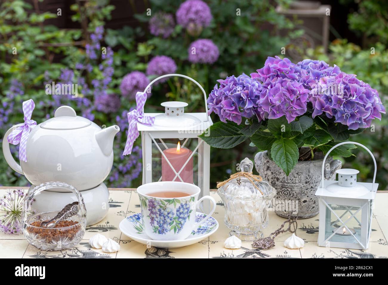 table arrangement in white and purple with teaware, lanterns and hydrangea in pot Stock Photo