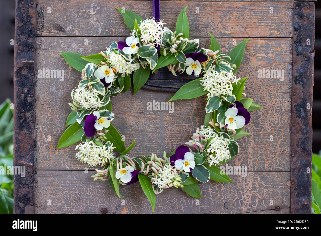 wreath of viola flowers, flowers of Siberian dogwood and honeysuckle hanging wooden box Stock Photo