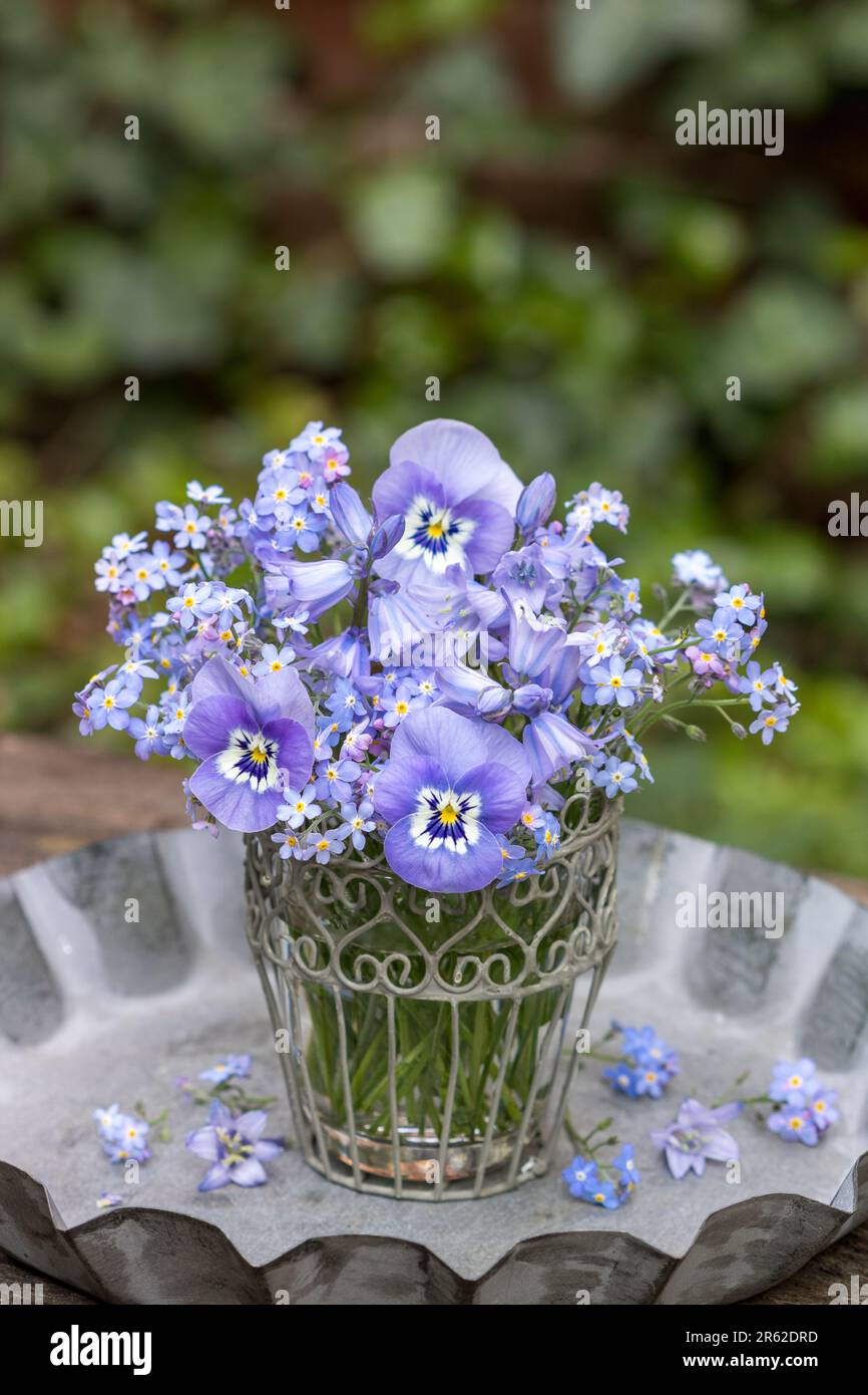 bouquet blue viola flowers, Spanish bluebells and me not flowers