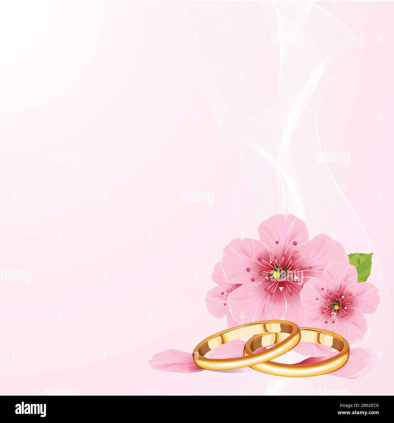 Wedding rings and pink cherry blossom design Stock Vector Image & Art ...