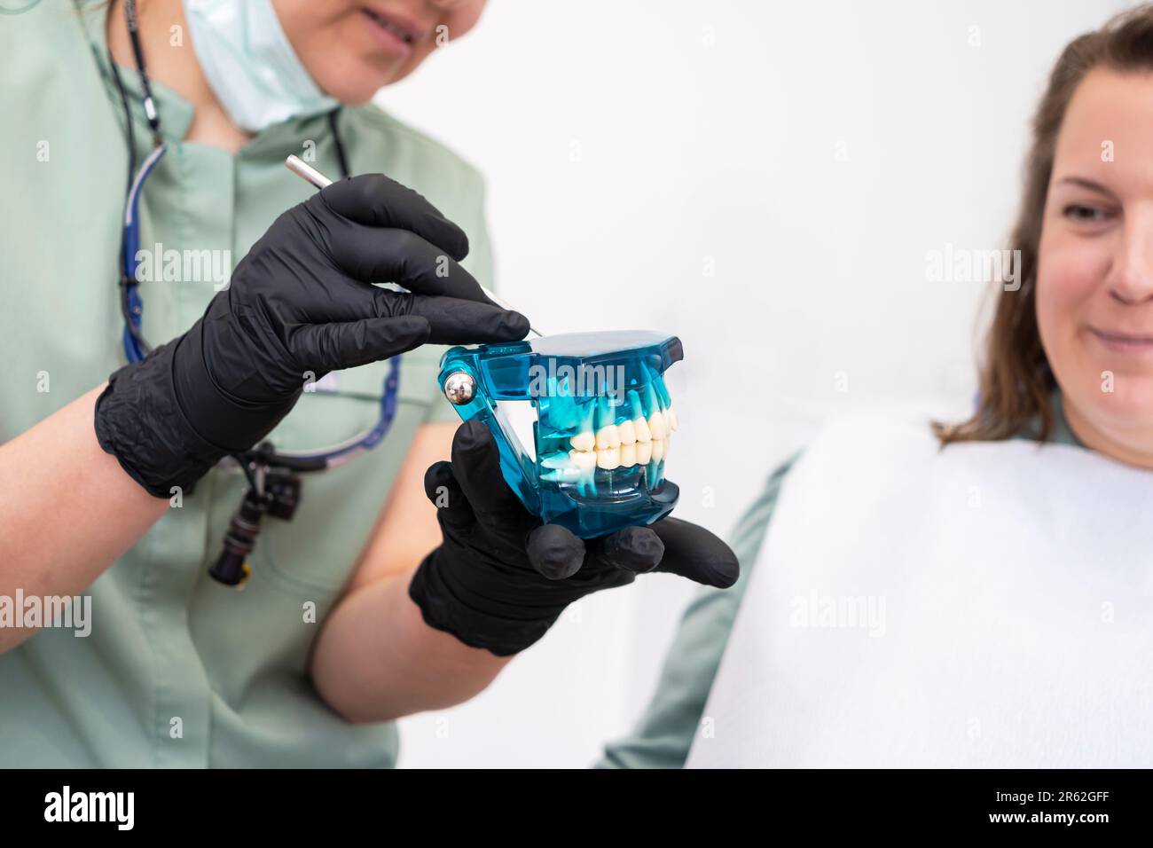 dentist, grasps a dental model depicting the upper and lower jaws
