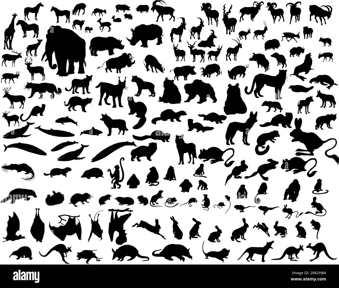 Big collection of different illustration vector animals Stock Vector