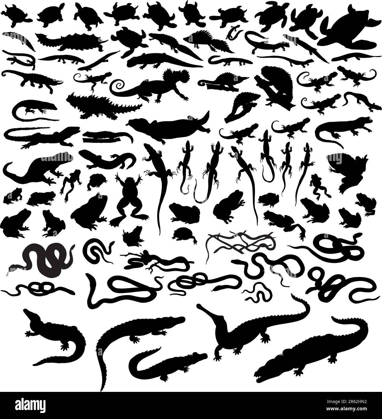 Big collection of vector reptiles isolated on white Stock Vector
