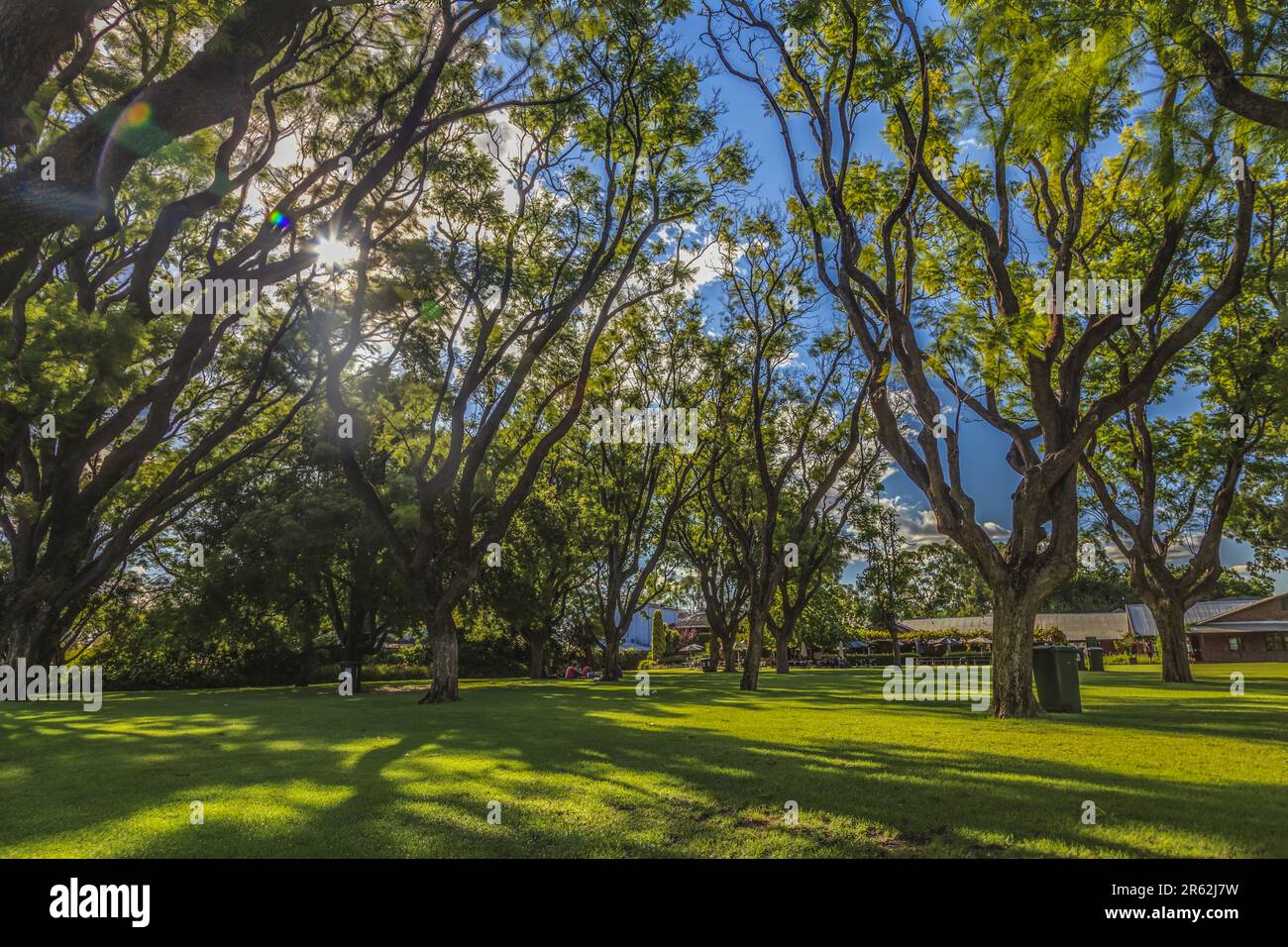 Photo a park in Perth with meadow and trees photographed during the day