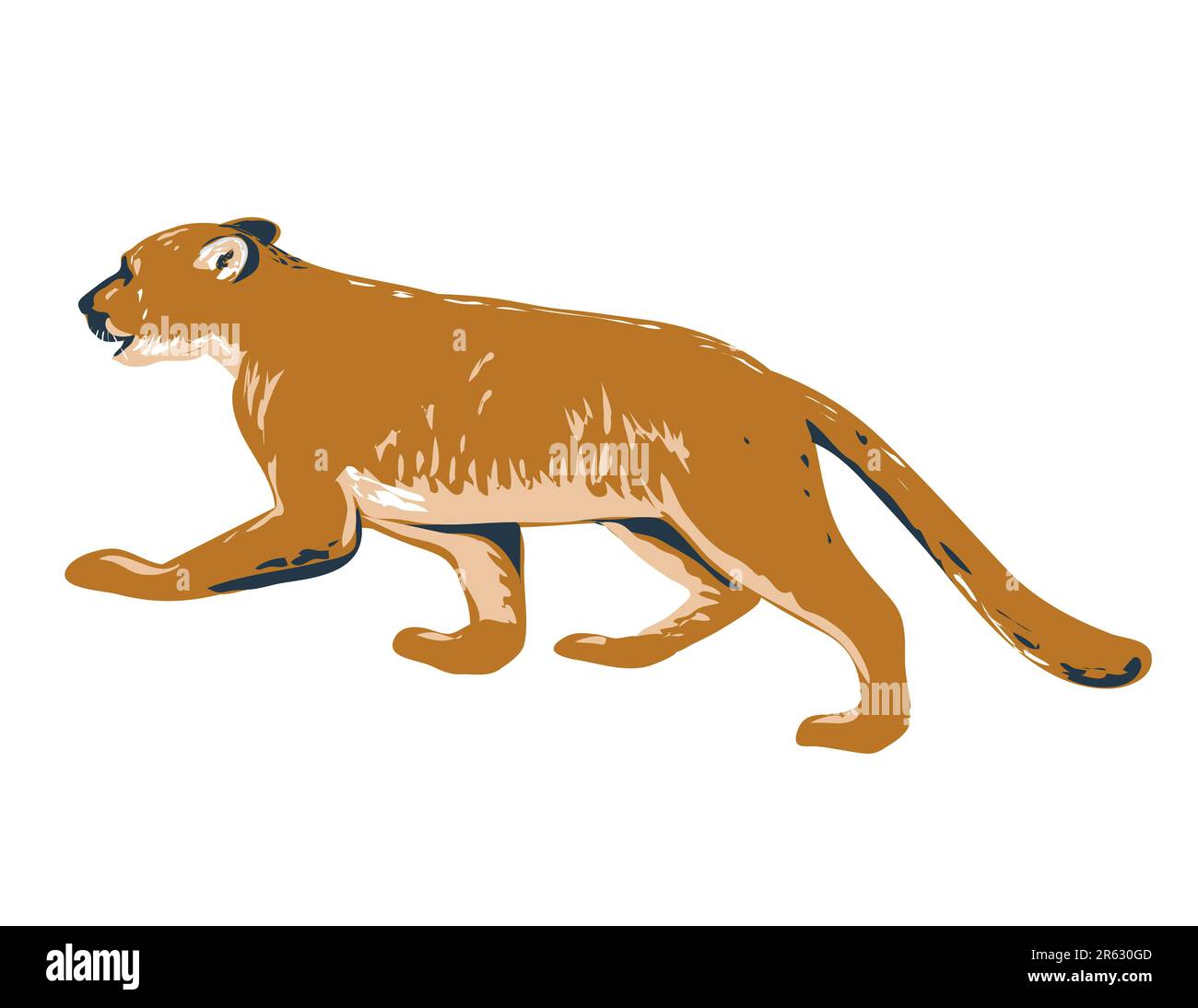 WPA poster art of a cougar, a large cat native to the Americas 