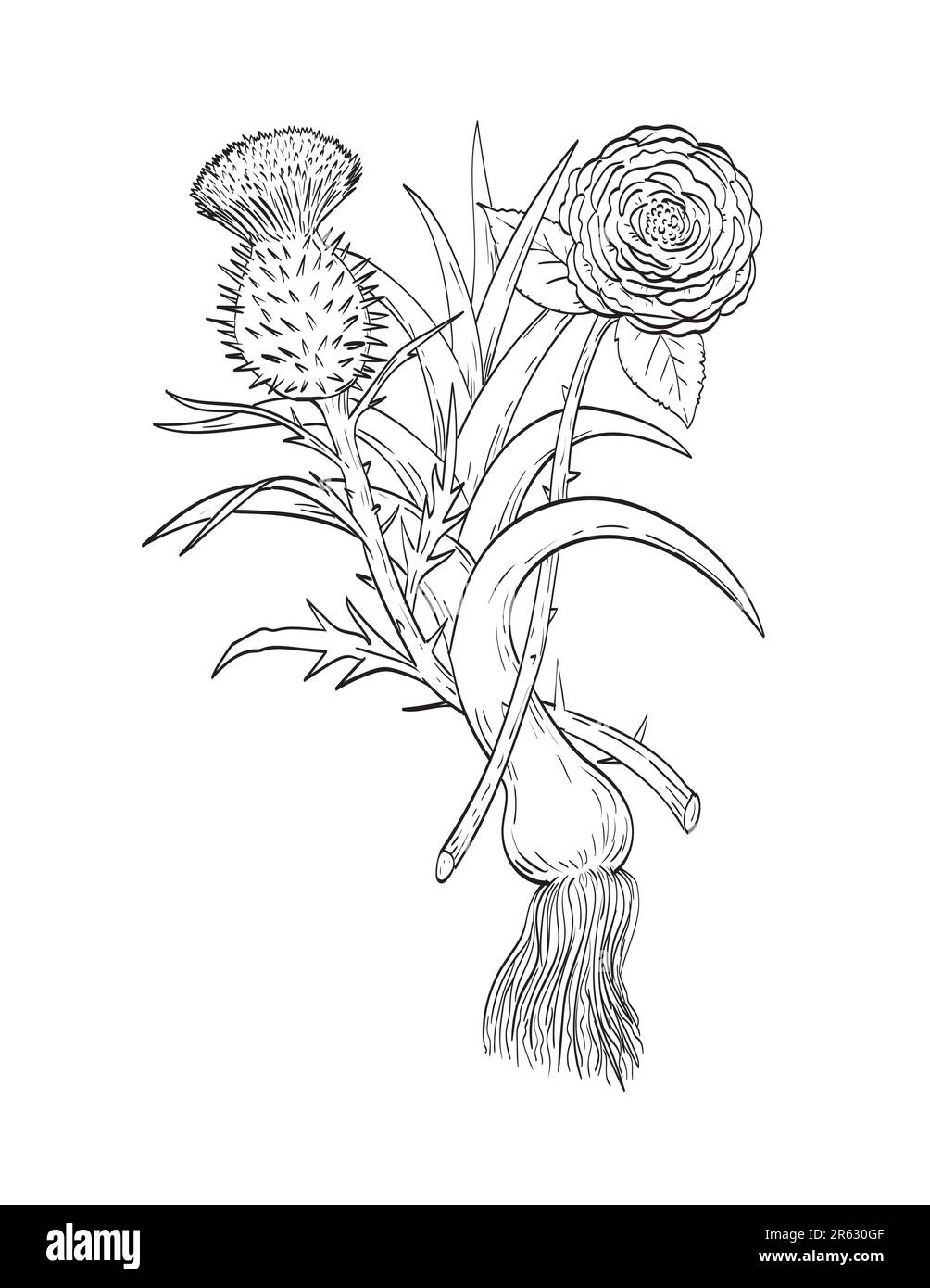Line drawing sketch style illustration of four emblems representing the nations of Great Britain GB, English rose, Welsh leek and the Scottish thistle Stock Photo