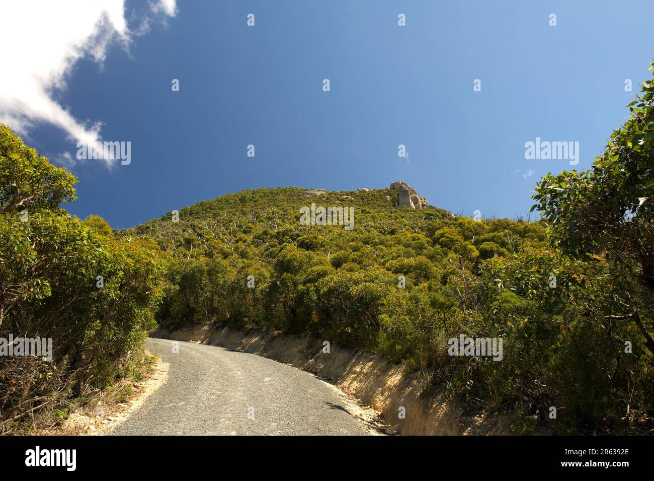 Mount Oberon is in Wilsons Promontory National Park, in Victoria, Australia. It has 180º views of the National Park, if you can make it to the top! Stock Photo