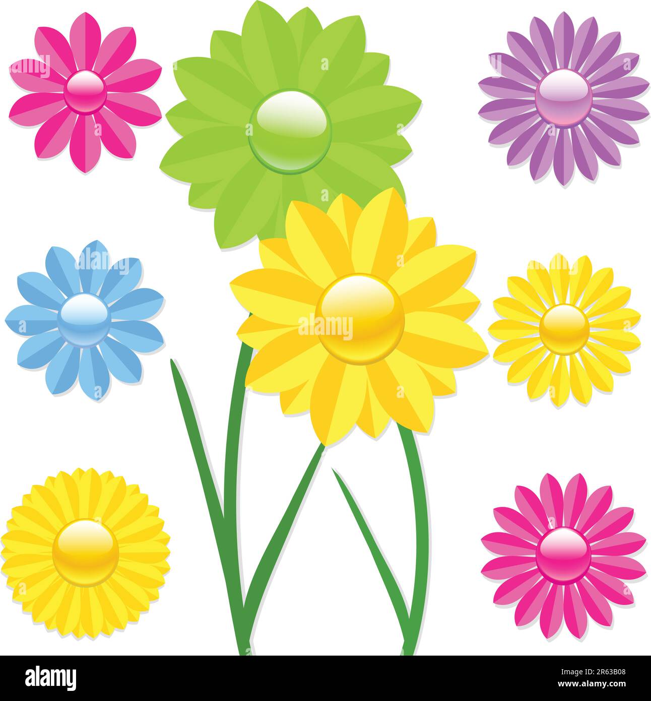 Vector illustration of brightly coloured daisy flowers with reflections ...