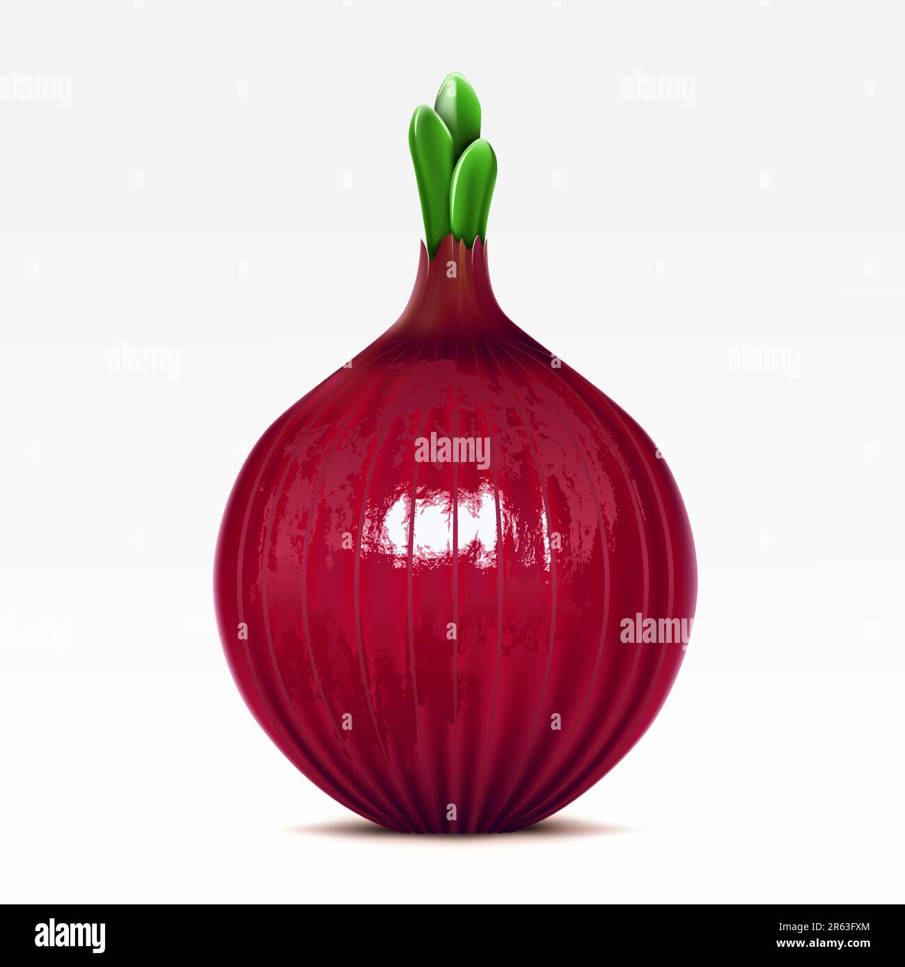 Red lettuce onion on the  white background Stock Vector