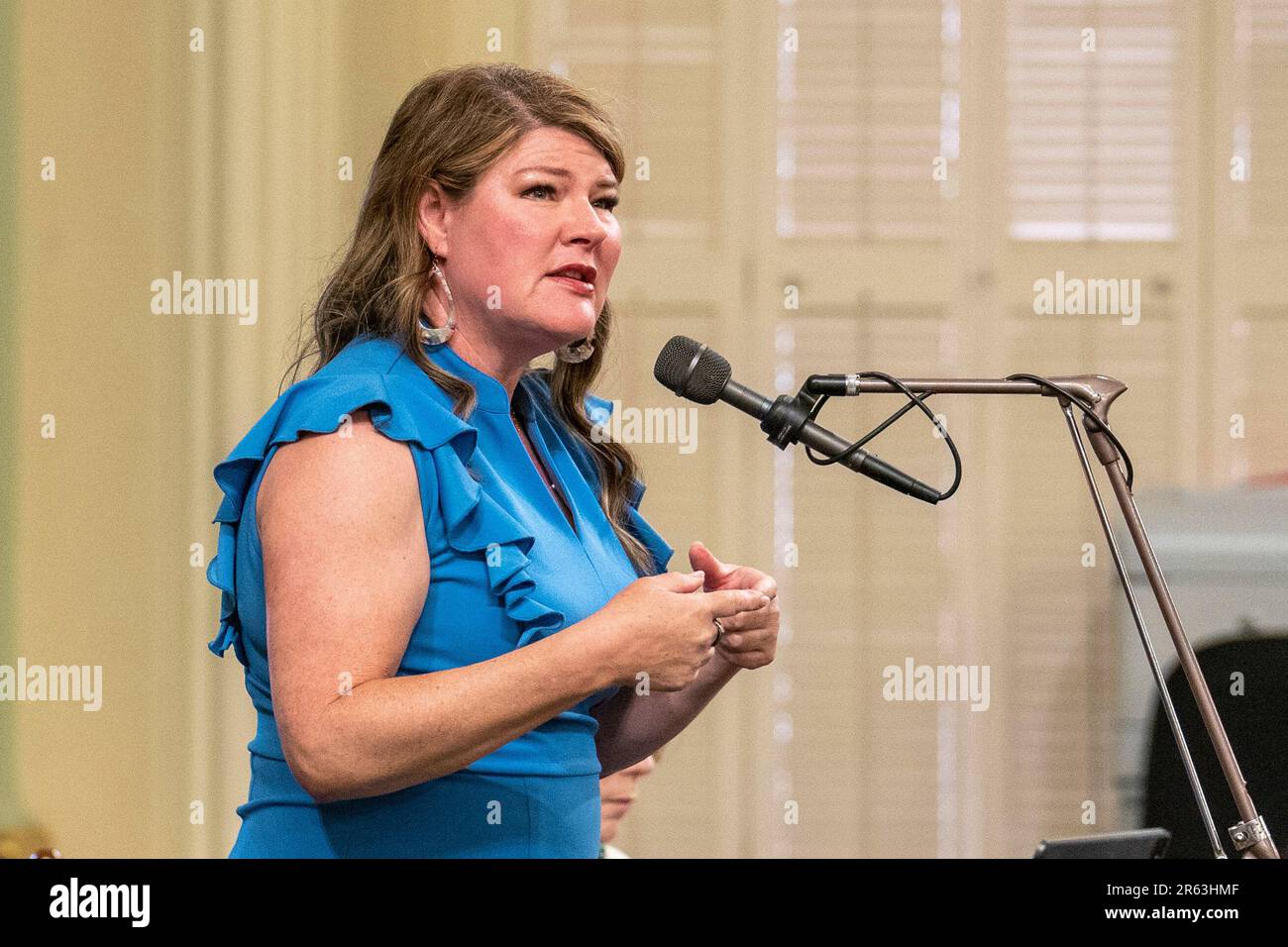 Assembly member Tasha Boerner, DEncinitas, speaks on a bill before the