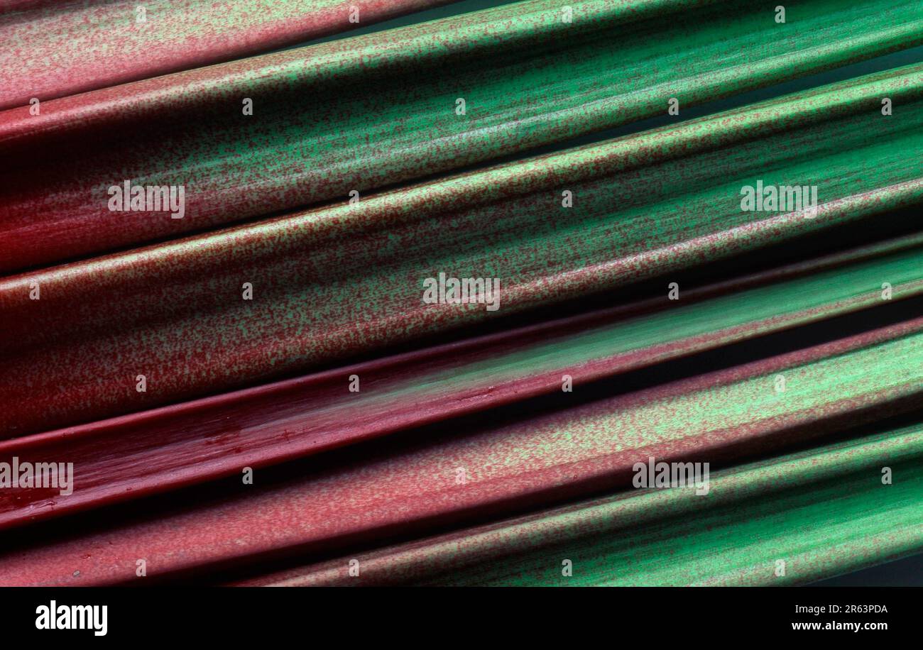 Rhubarb (Rheum rhabarbarum), Rhabarber-Stangen, [Pflanzen, plants, Nutzpflanze, useful plant, Nahaufnahme, close-up, Detail, Querformat, horizontal Stock Photo