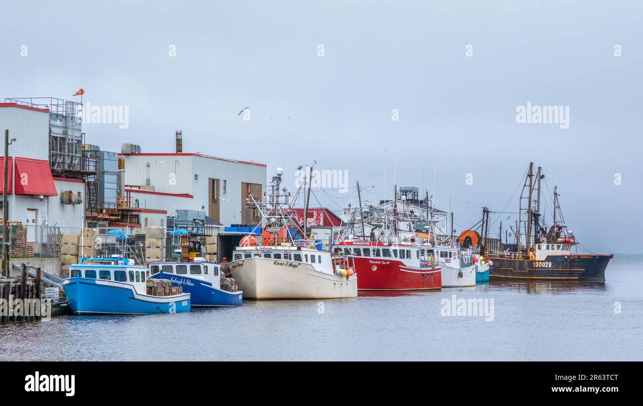Colourful fishing boats line the wharf outside the seafood processing plant in Glace Bay Nova