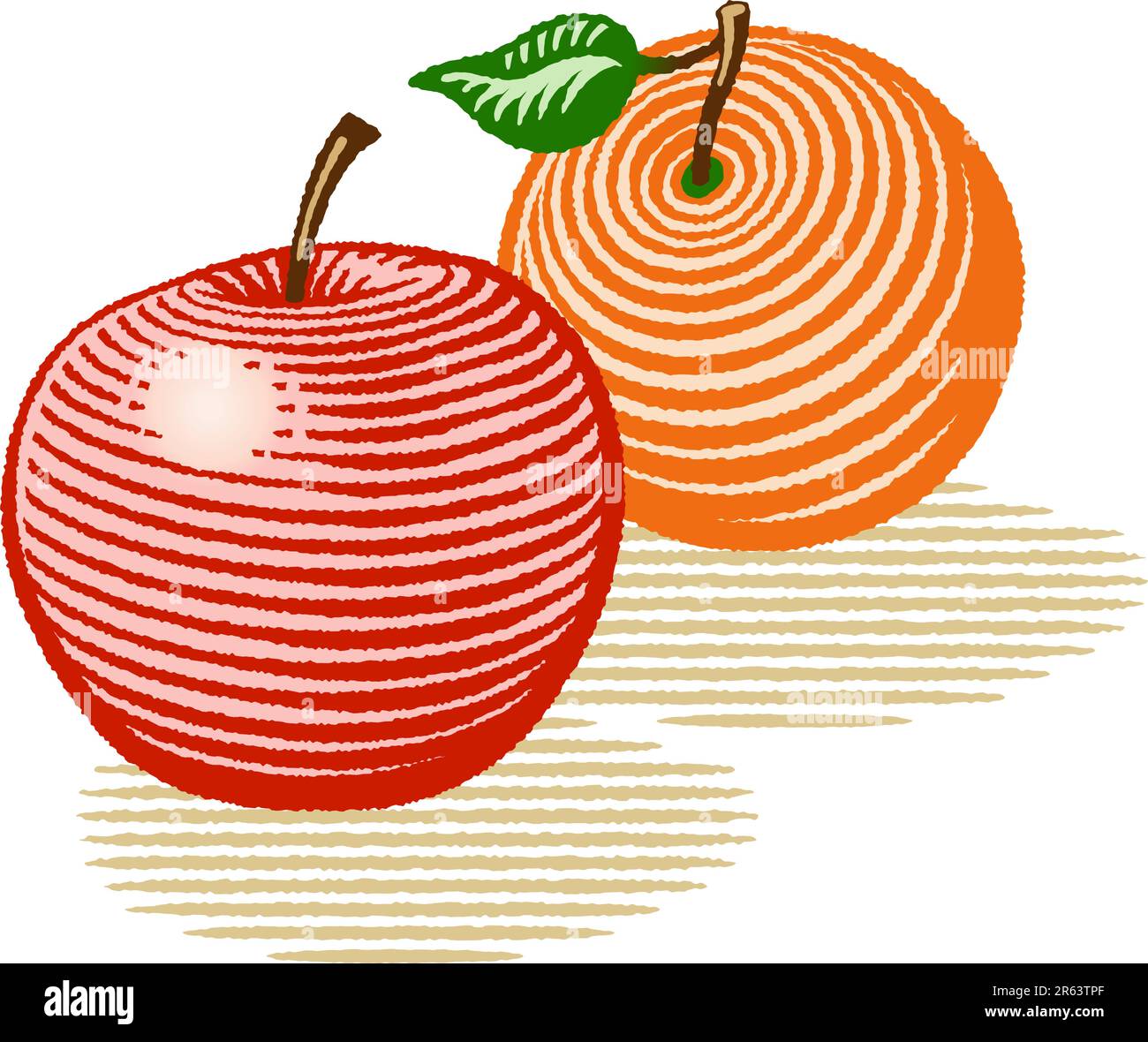 Vector illustration in woodcut style of an apple and an orange Stock ...