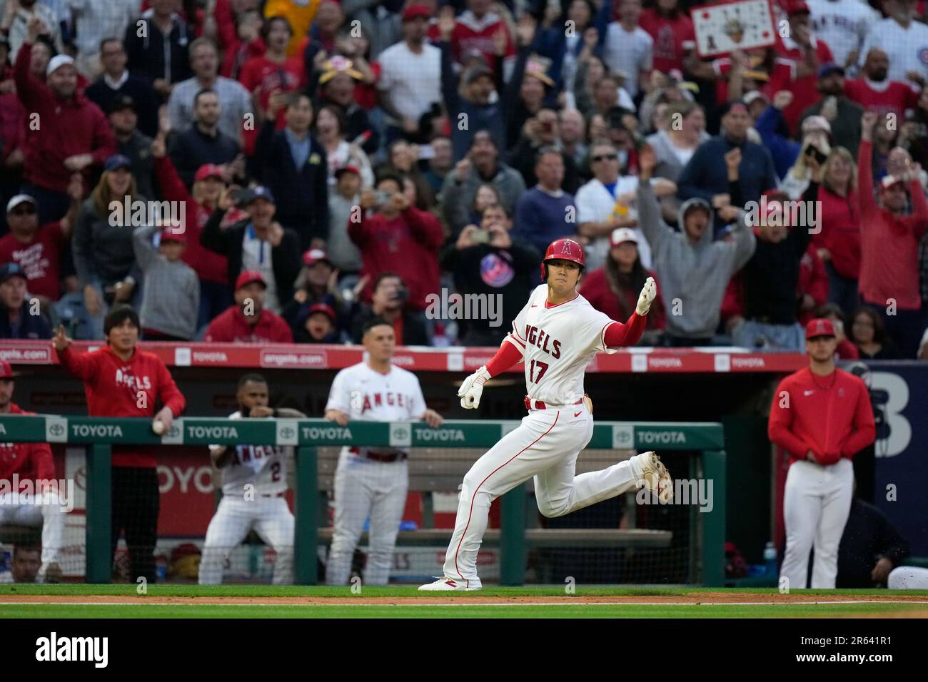 Los Angeles Angels' Shohei Ohtani rounds the bases after hitting a home run  during the fourth inning of a baseball game against the Chicago Cubs  Tuesday, June 6, 2023, in Anaheim, Calif. (