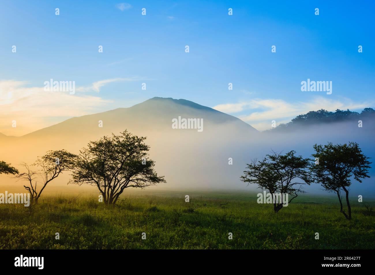 Sunrise in misty Odashirogahara Stock Photo