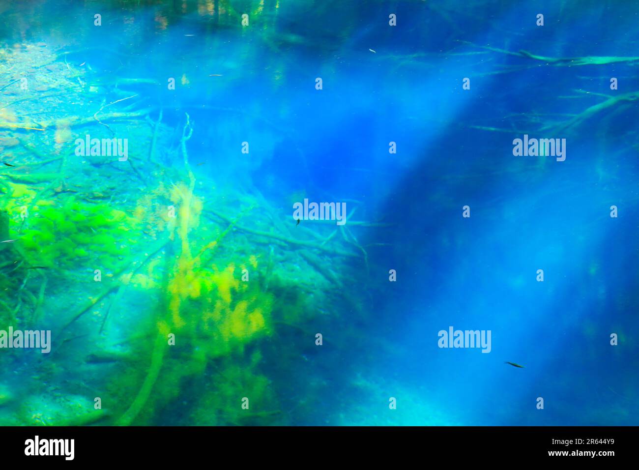 Light shining on the blue pond and sea trout Stock Photo - Alamy