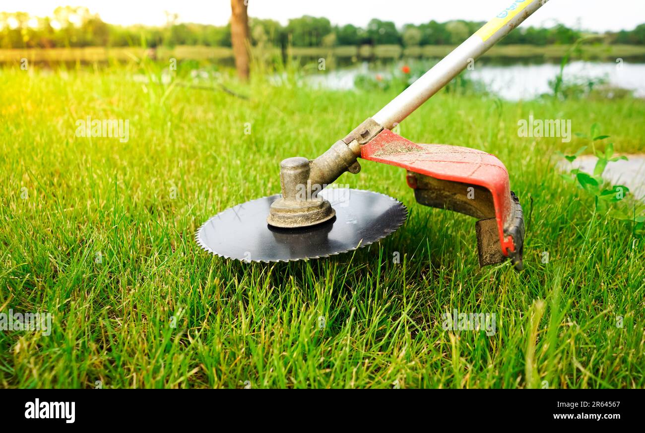 Cutting grass with brushcutter on sunny summer day. Lawn mowing on