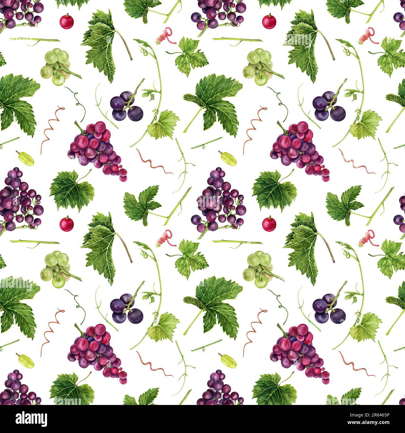 Seamless pattern with grapes, green leaves and grape vines. Hand drawn watercolor illustration. Stock Photo