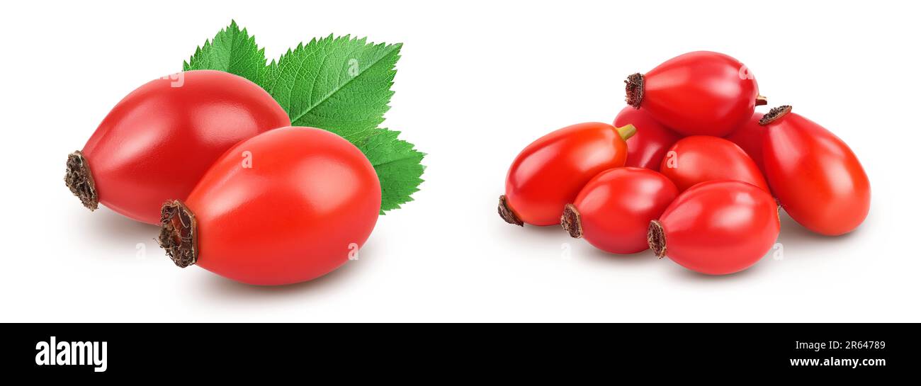 Rose hip isolated on a white background with full depth of field Stock ...