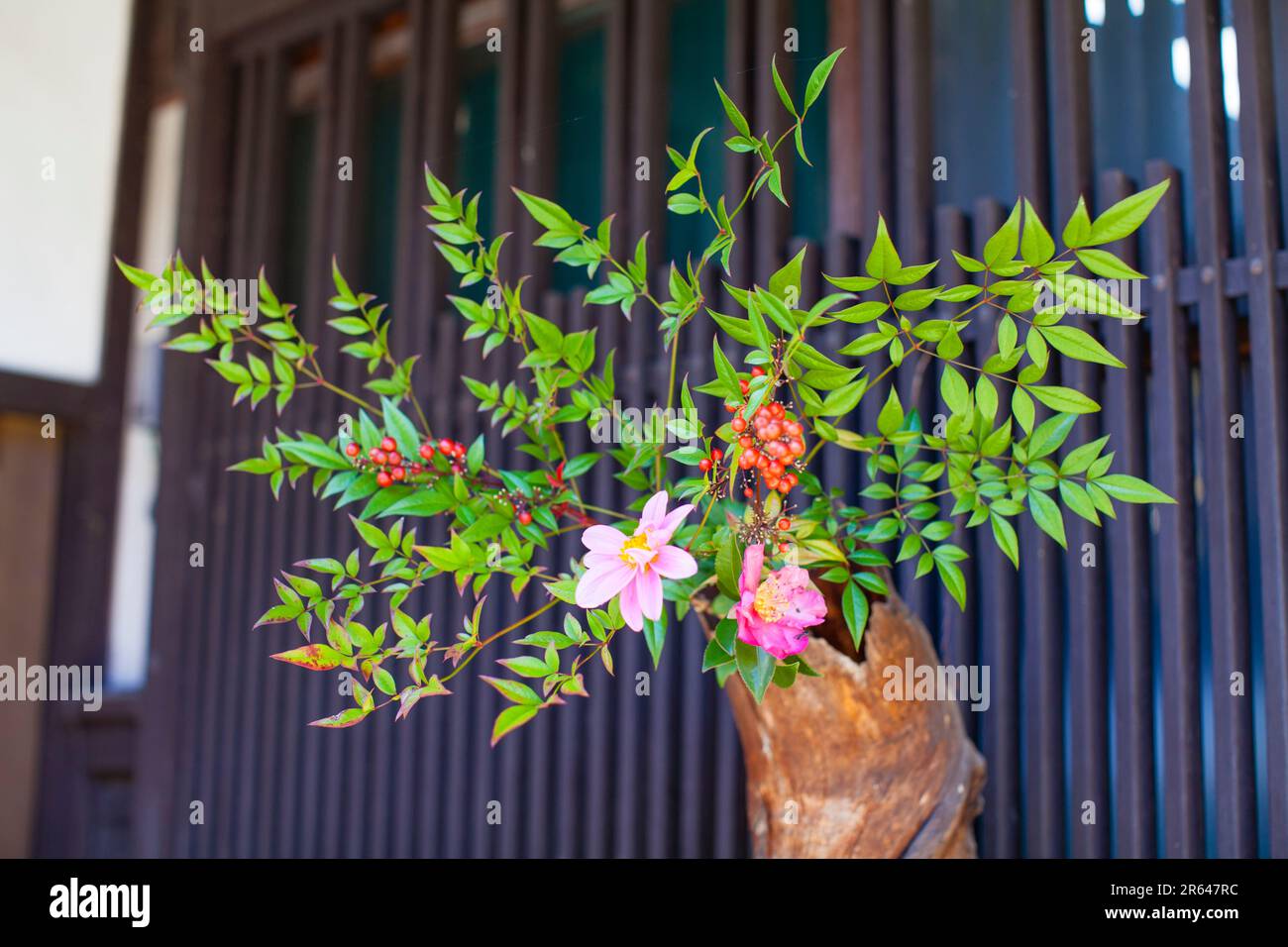 November flower arrangement hi-res stock photography and images - Alamy