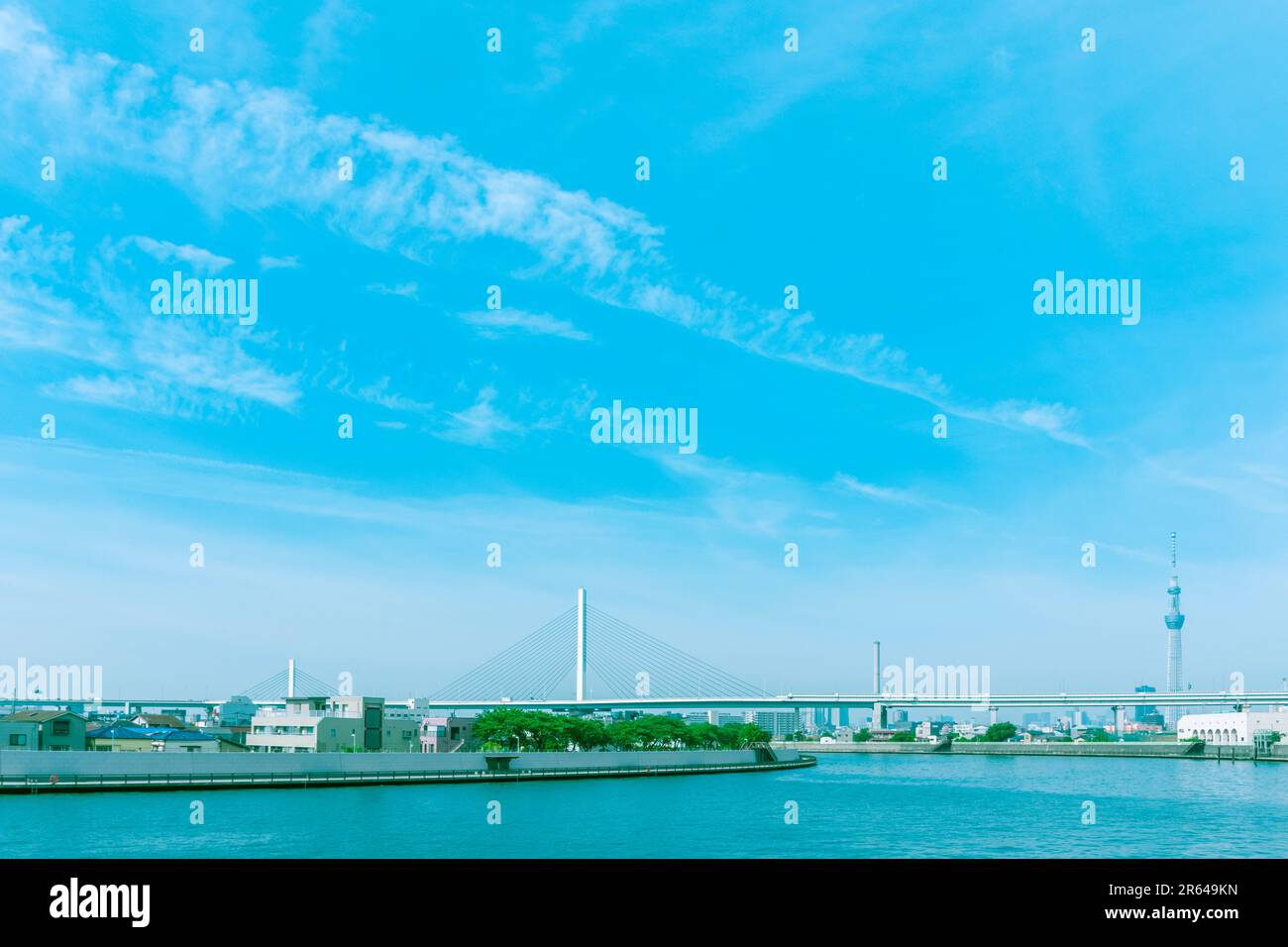 Cable-stayed bridge over the Nakagawa River and Sky Tree Stock Photo