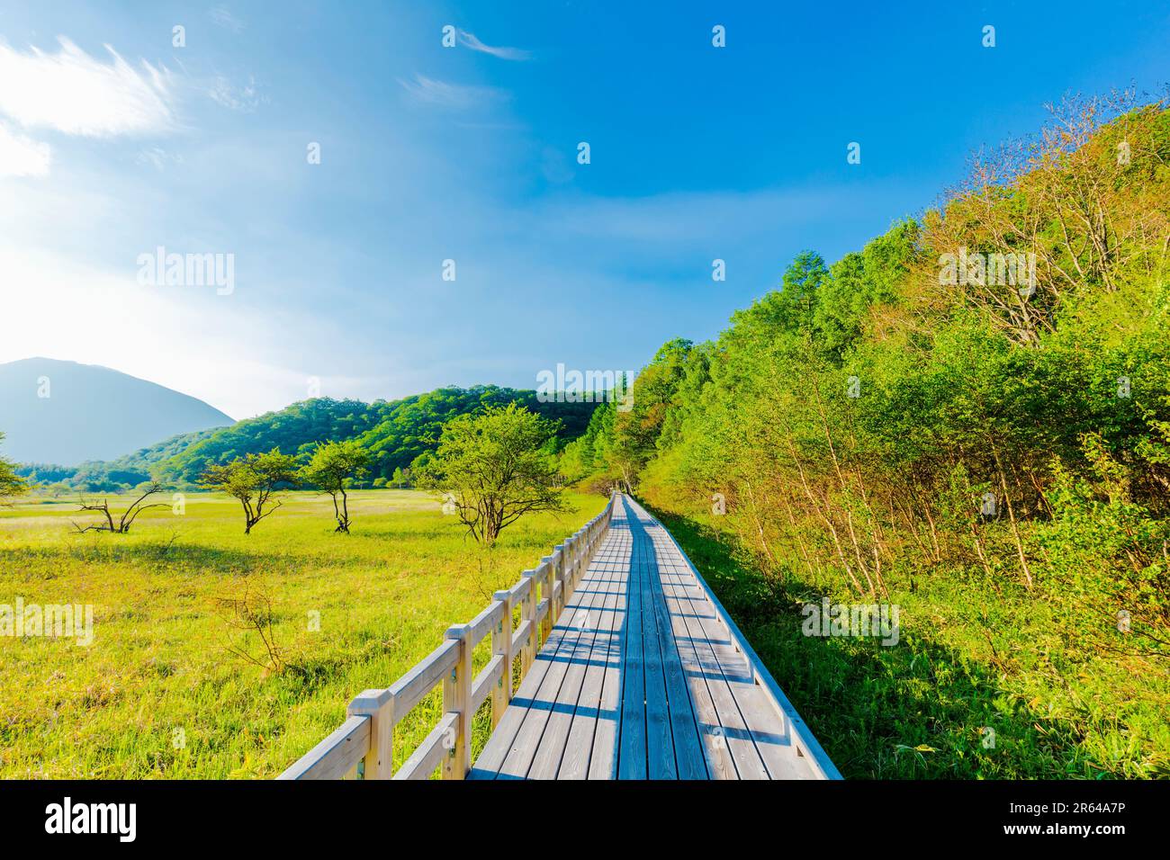 Odashirobara's marshland and wooden path Stock Photo