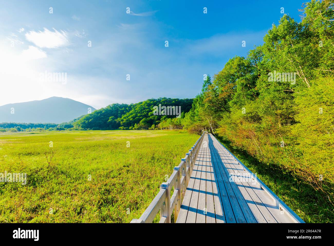 Odashirobara's marshland and wooden path Stock Photo