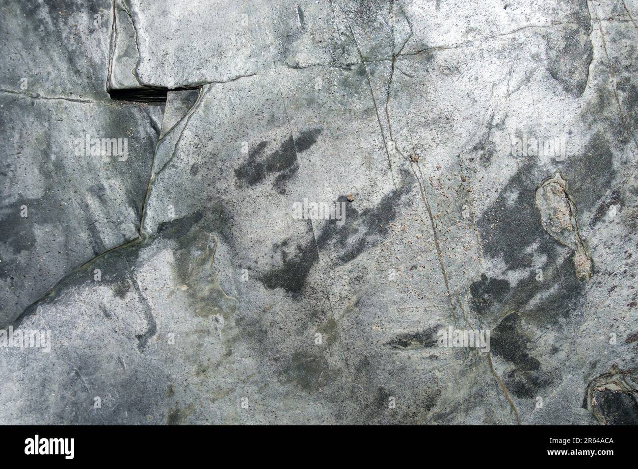 Slate and schist background texture. Closeup view Stock Photo