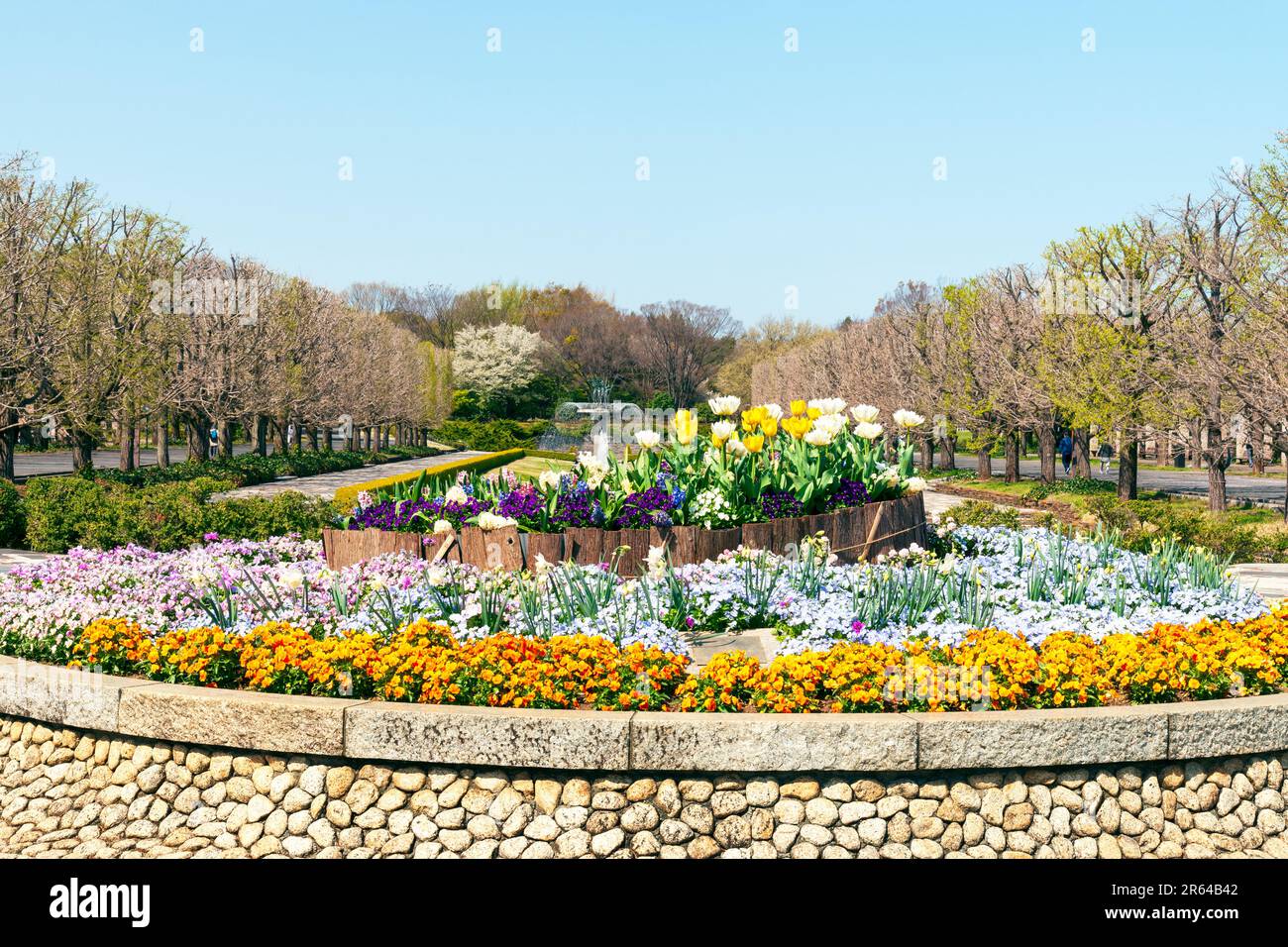 Tree flower beds hi-res stock photography and images - Alamy