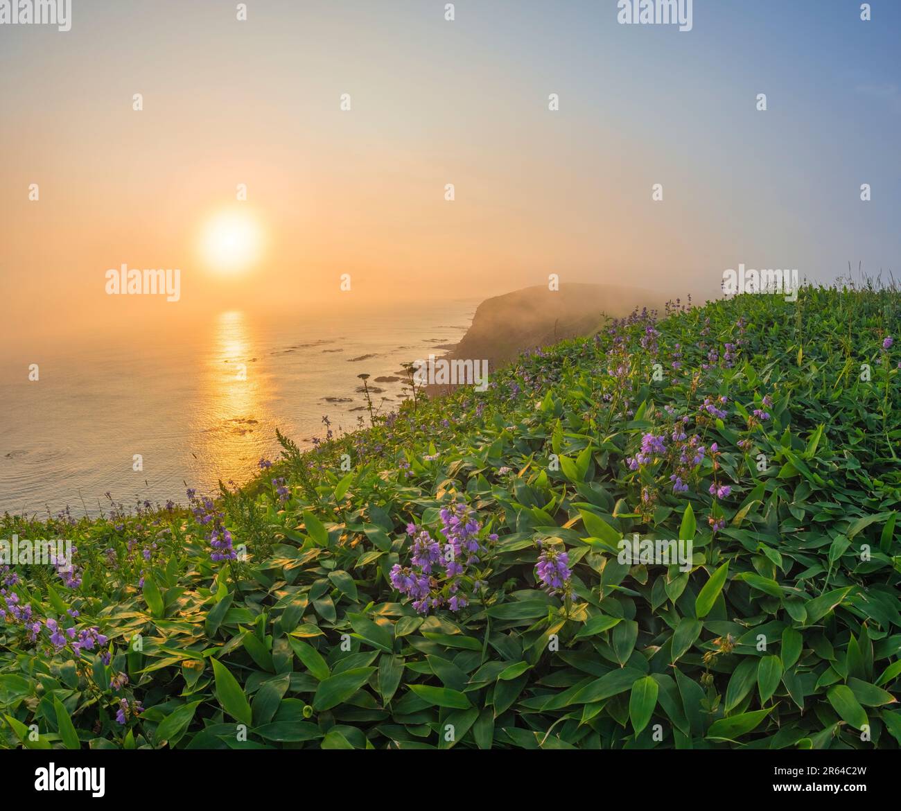 Hokkaido Nature Sunset Stock Photo