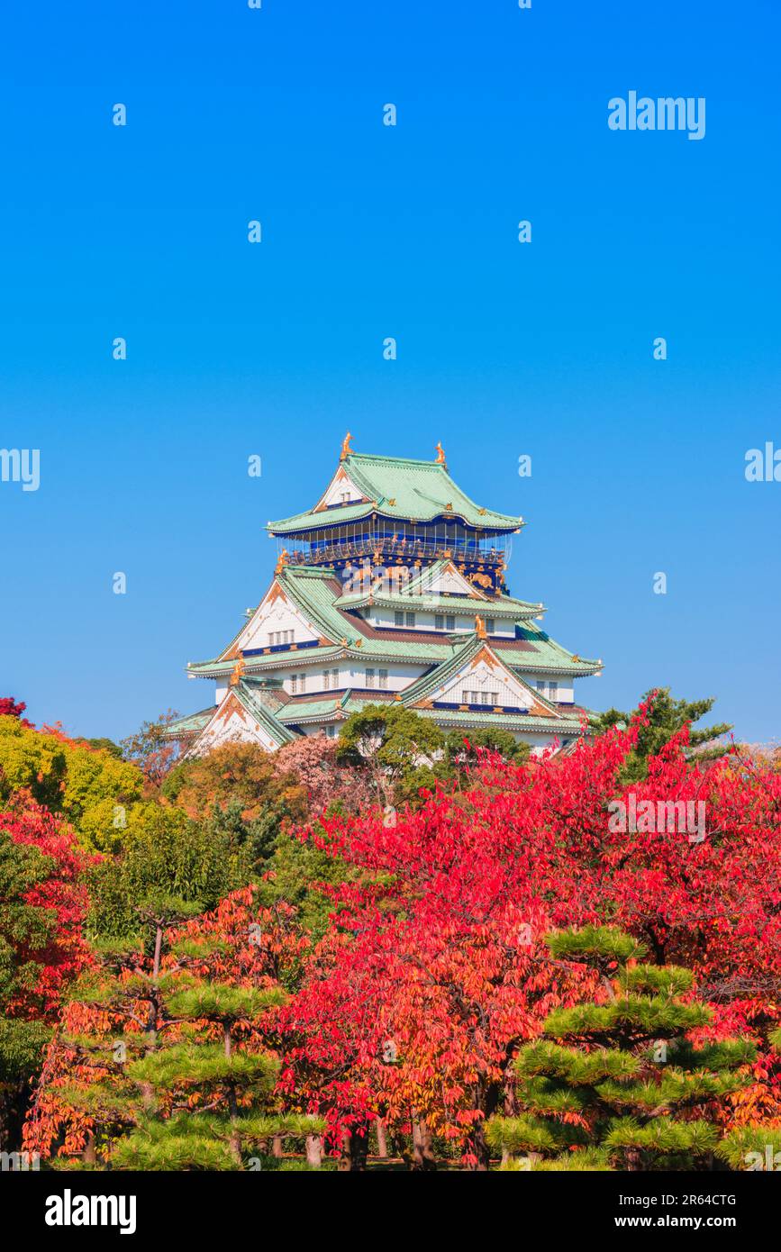 Osaka Castle and autumn leaves Stock Photo