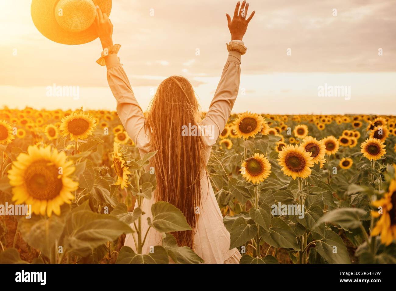 Woman in Sunflower Field: Happy girl in a straw hat posing in a vast ...