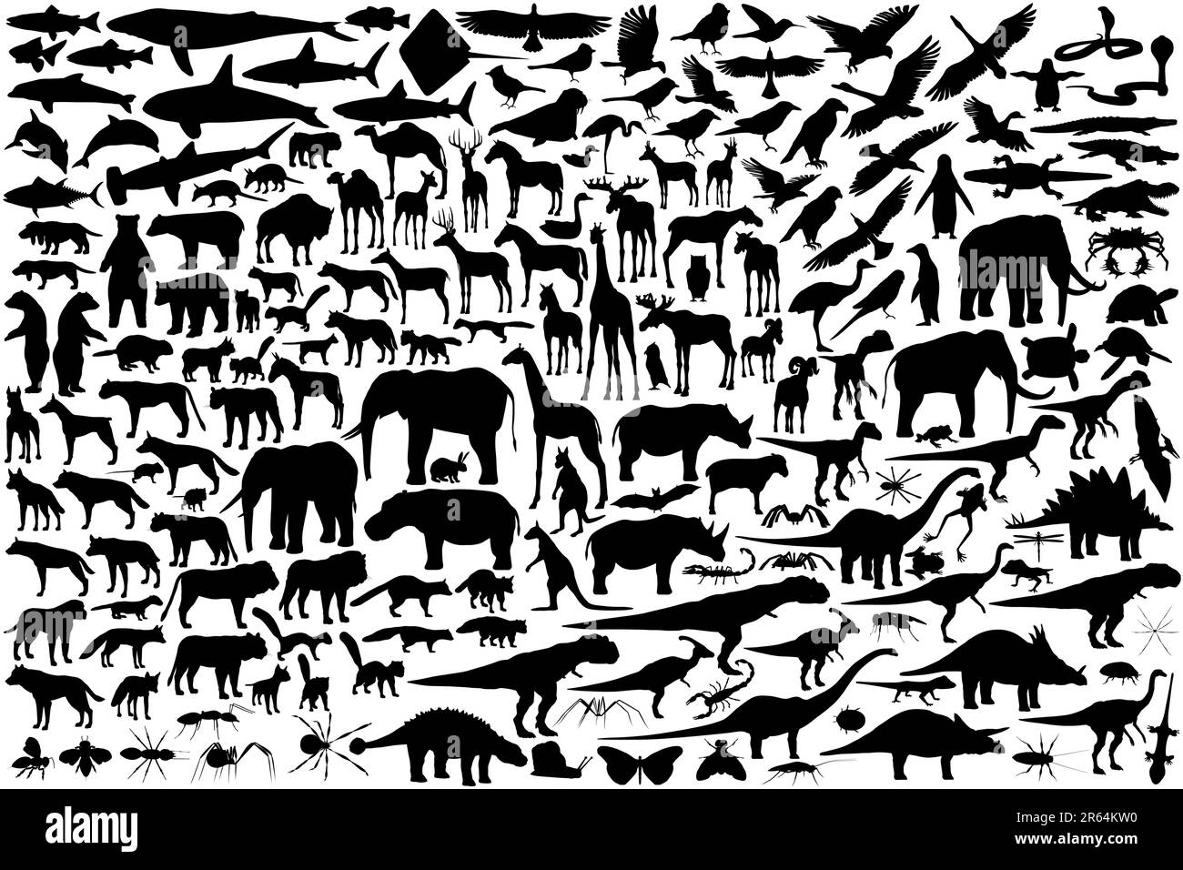 Diverse set of editable vector animal outlines Stock Vector Image & Art ...