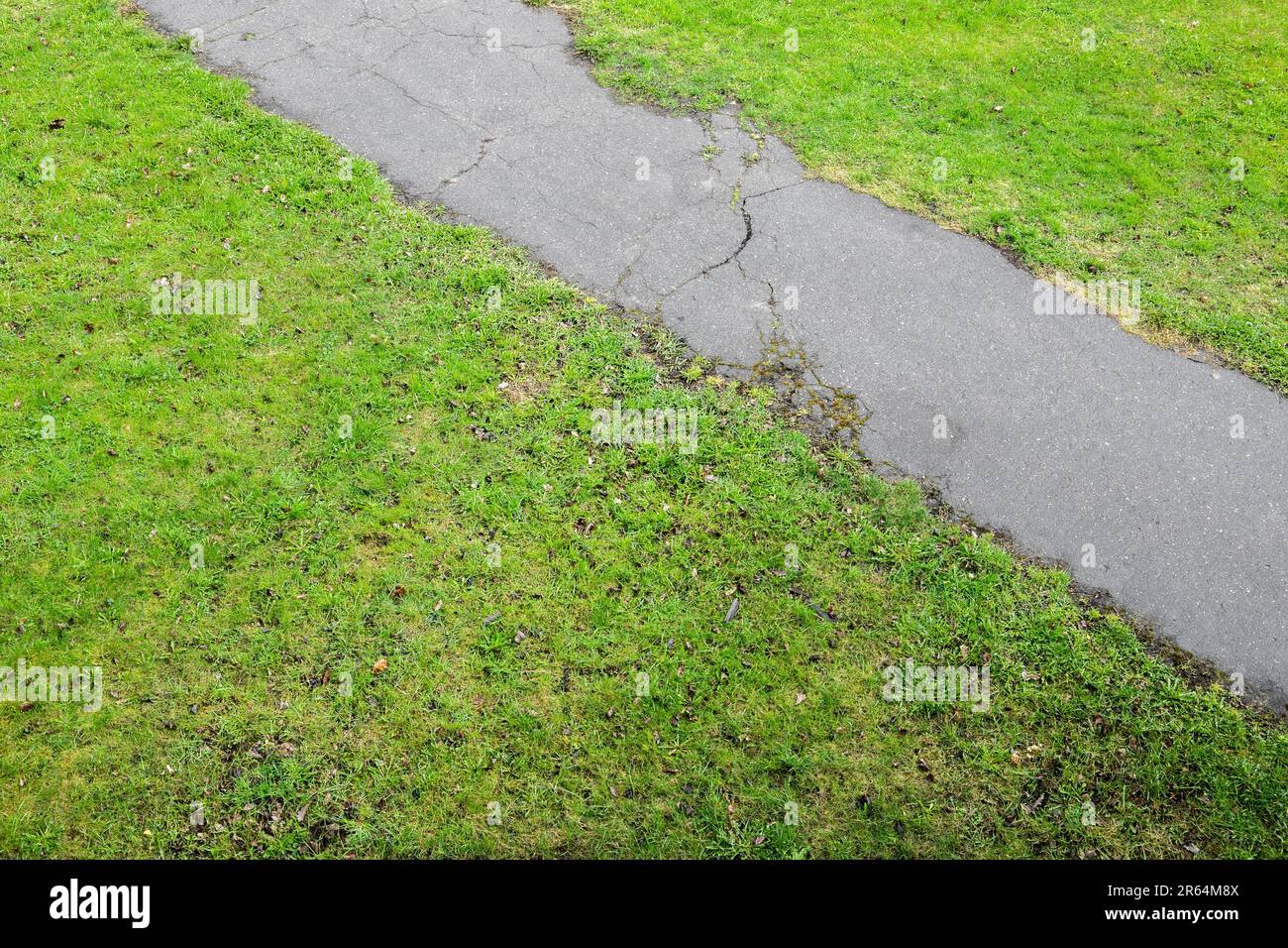 Park path, asphalt pedestrian road goes over green lawn, abstract background photo Stock Photo