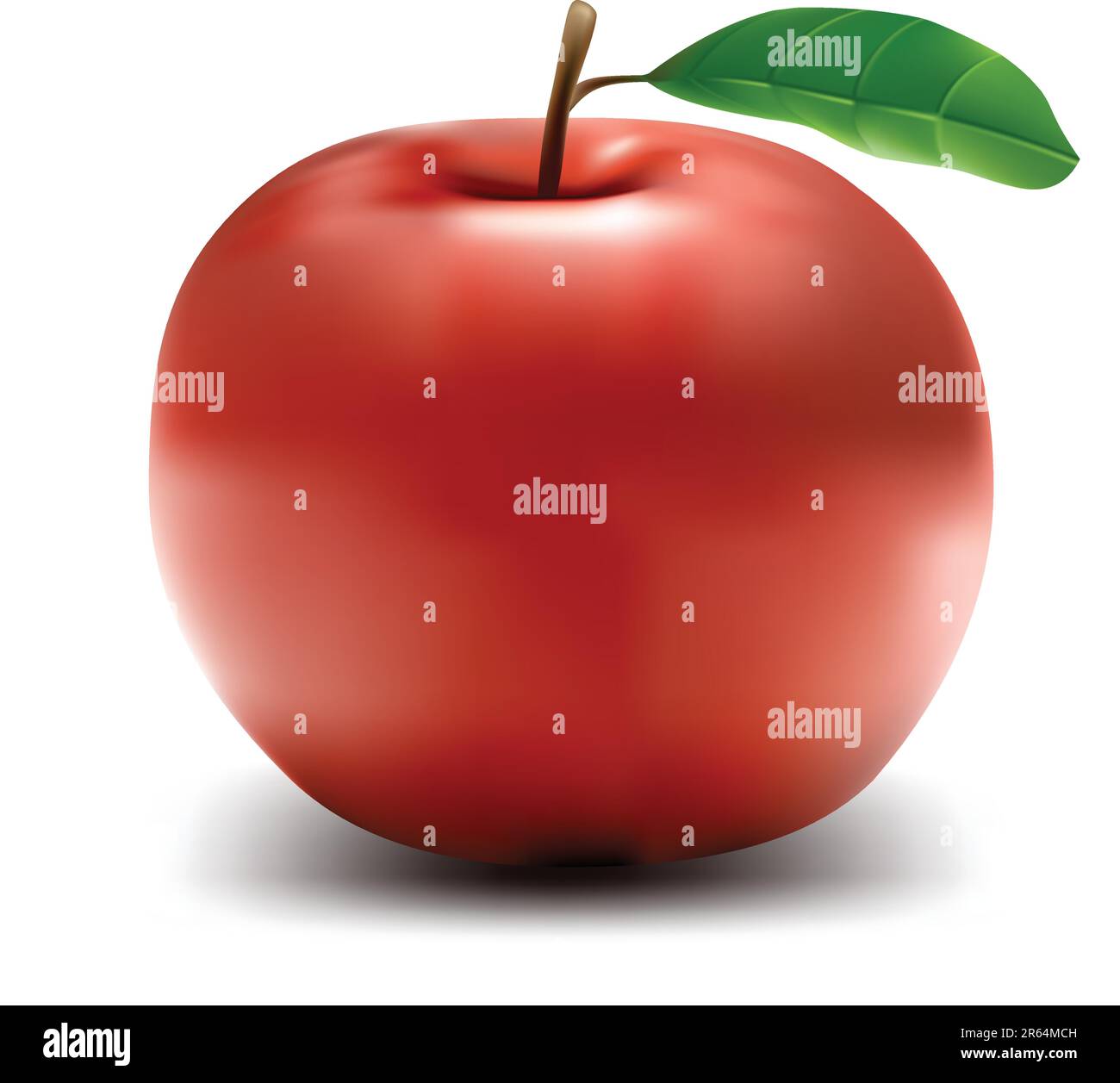 Realistic apple vector illustration Stock Vector Image & Art Alamy