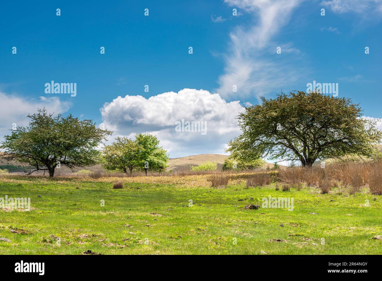 Kirigamine Kogen Stock Photo