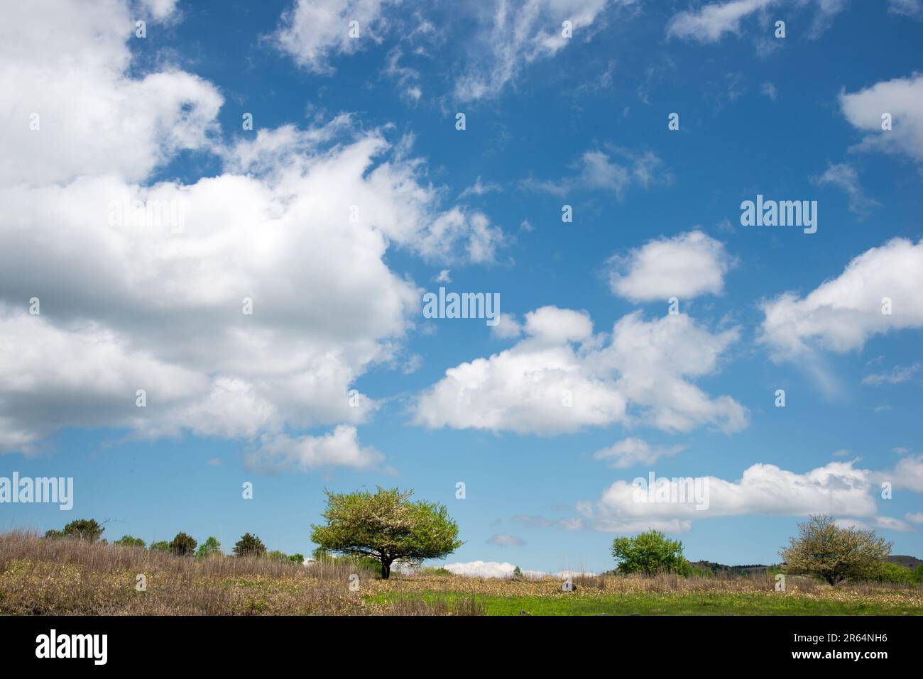 Kirigamine Plateau Stock Photo