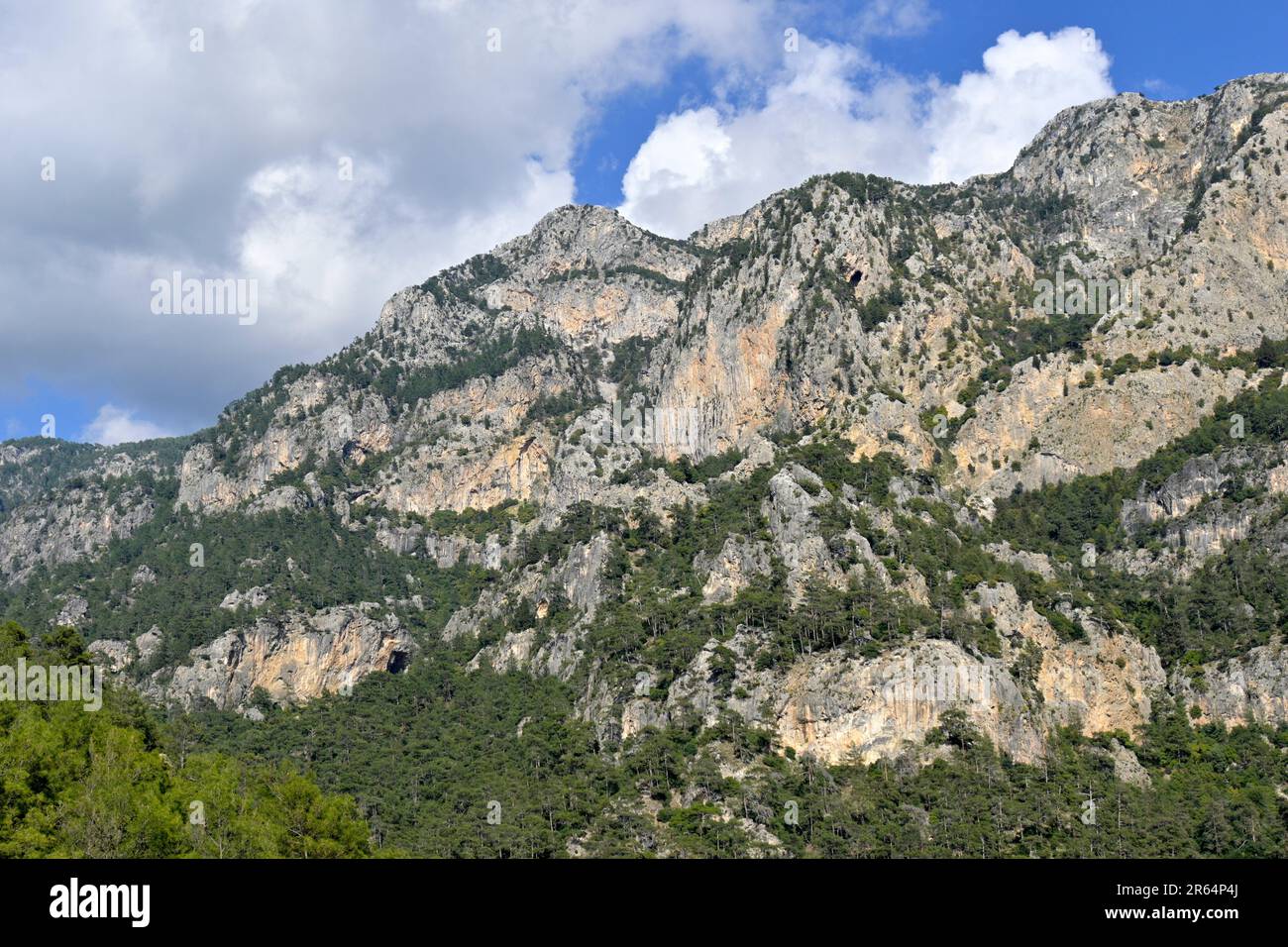 Verdant terrain hi-res stock photography and images - Alamy