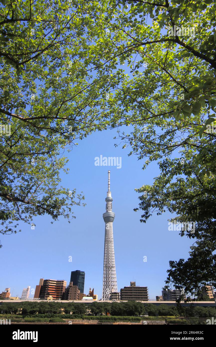 Tokyo japan may 13 hi-res stock photography and images - Alamy