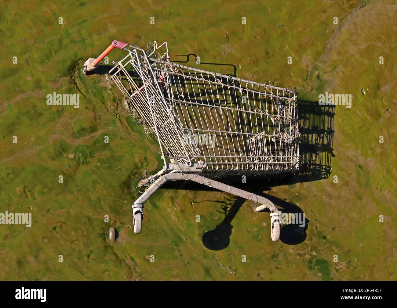 Abandoned supermarket shopping trolley, thrown into the river Lune, silted up, in Lancaster City Centre, Lancashire, England, UK, LA1 Stock Photo
