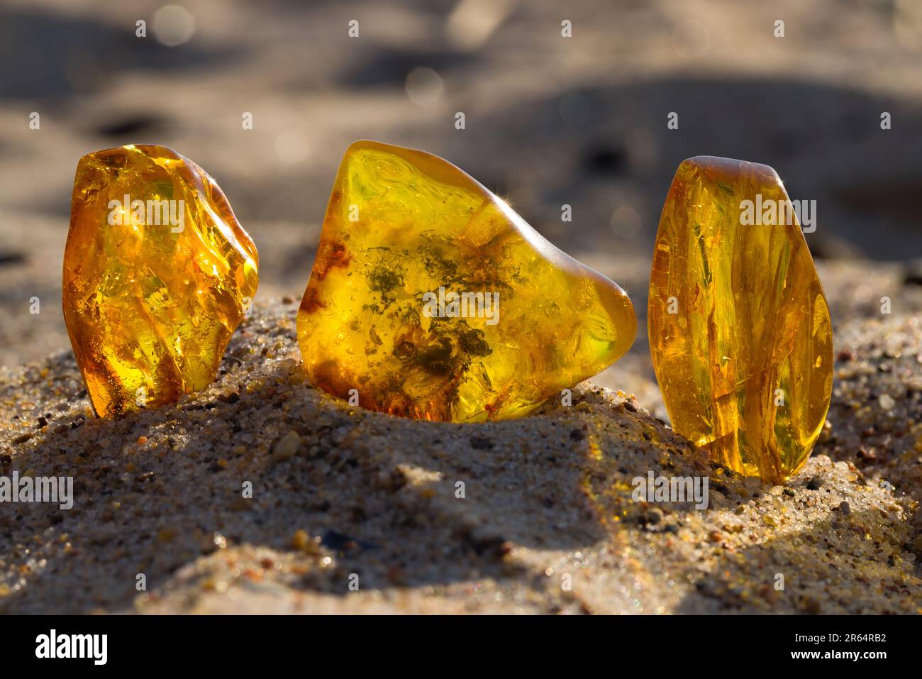 3,900+ Amber Resin Stock Photos, Pictures & Royalty-Free Images