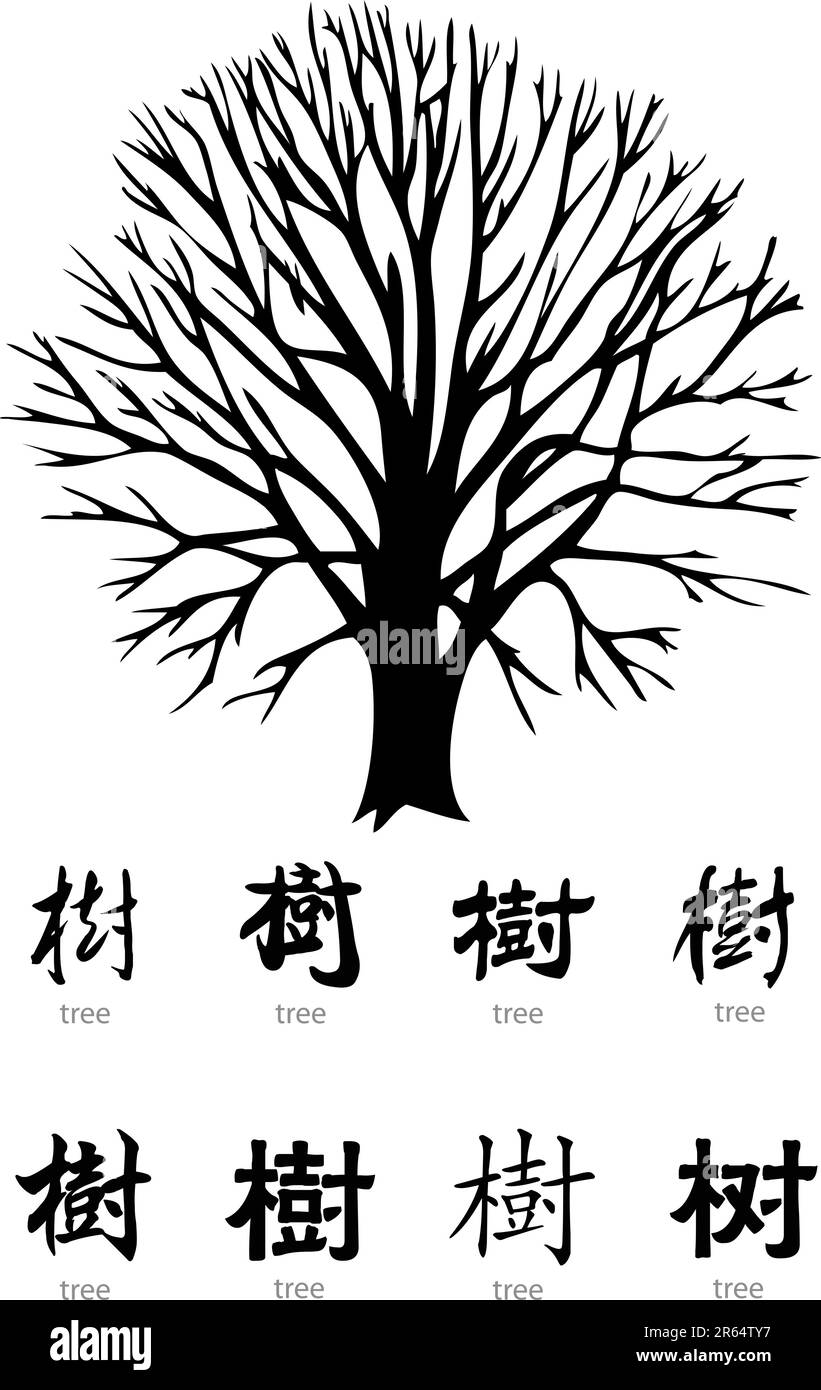 tree vector with chinese word and english translation Stock Vector