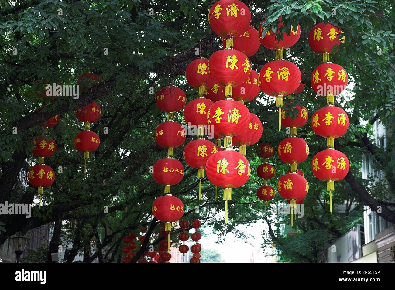 广州市 中國 Guangzhou, China; Chinese red lanterns hanging on a tree. Chinesische rote Laternen hängen an einem Baum.  中國紅燈籠掛在樹上。 Stock Photo