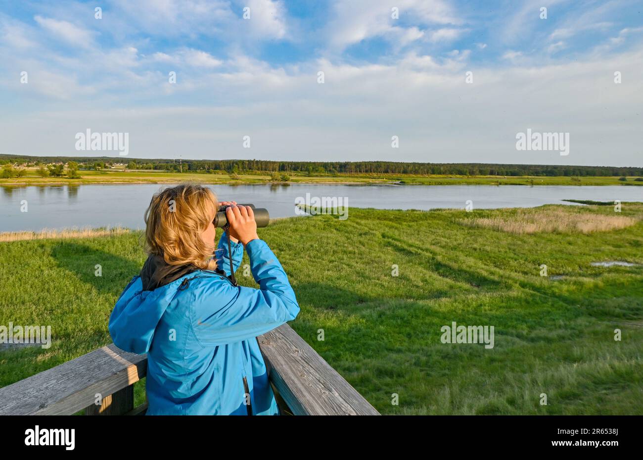 Criewen, Germany. 05th June, 2023. Steffi Lemke (Bündnis 90/Die Grünen), Federal Minister for the Environment, looks through binoculars from an observation tower on the German-Polish border river Oder in the Lower Oder Valley National Park. Last summer, there had been a mass fish kill in the Oder River. Experts in Germany and Poland concluded that it was most likely the toxic effect of the algae bloom that had caused the death of the fish. Credit: Patrick Pleul/dpa/Alamy Live News Stock Photo