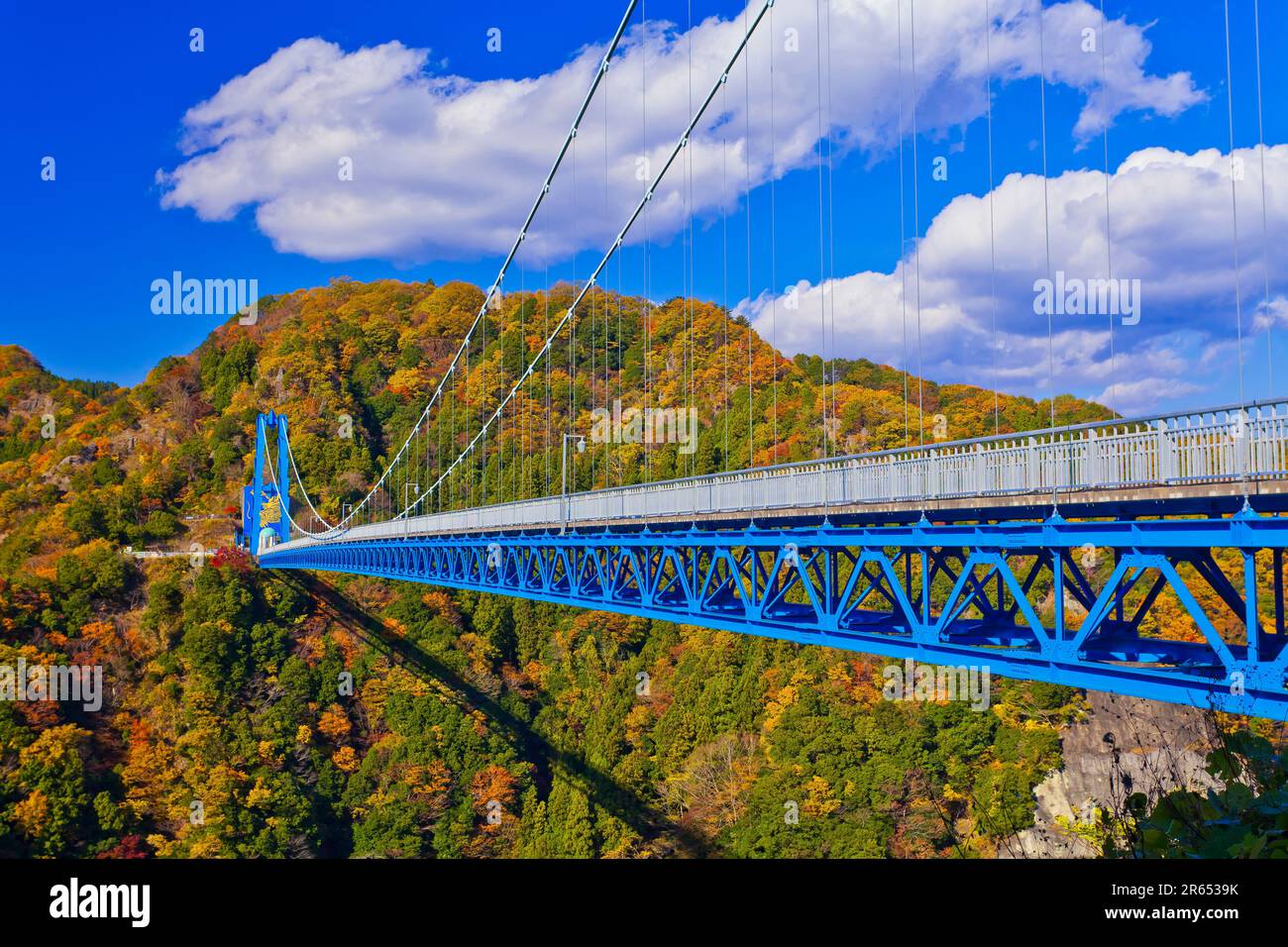 Ryu jin hi-res stock photography and images - Alamy