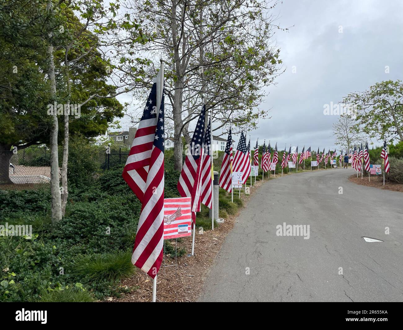 A row of American flags in the Field of Honor, Castaways Park in