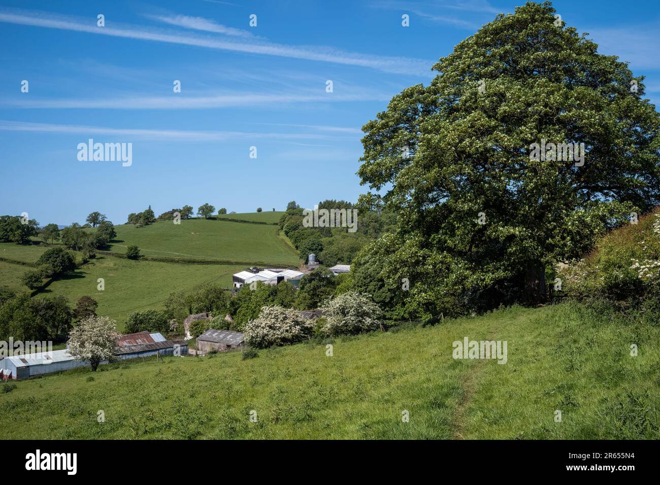 Blacksyke farm as seen on the walk between Warcop and Sandford villages, Eden Valley, Cumbria, UK Stock Photo