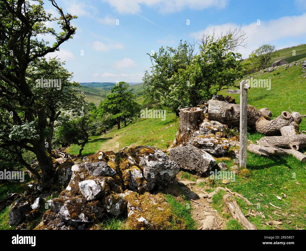 Public footpath near Cray in Upper Wharfedale Yorkshire Dales National Park North Yorkshire England Stock Photo