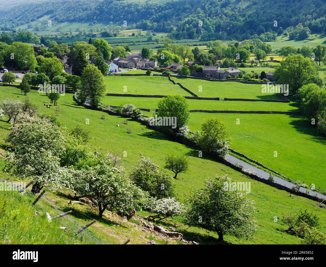 Summer meadows from Buckden Rake near Buckden Upper Wharfedale Yorkshire Dales National Park North Yorkshire England Stock Photo